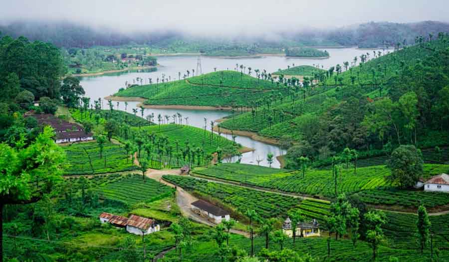 Valparai sightseeing tour package from Chennai, Chennai to Valparai tour package, best Valparai trip from Chennai, Valparai holiday package, guided Valparai tour, affordable Valparai travel package, Chennai to Valparai cab service, Valparai hill station tour, Valparai tea estates tour, Valparai wildlife tour, Chennai to Valparai family trip, Valparai waterfalls visit, Valparai sightseeing tour