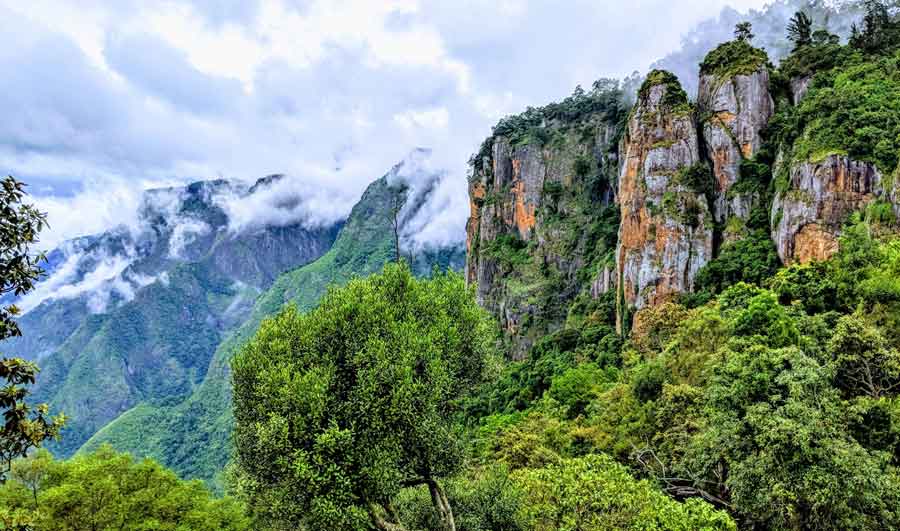 Kodaikanal sightseeing tour package from Chennai, Chennai to Kodaikanal tour package, best Kodaikanal trip from Chennai, Kodaikanal holiday package, guided Kodaikanal tour, affordable Kodaikanal travel package, Chennai to Kodaikanal cab service, Kodaikanal nature tour, Kodaikanal honeymoon package, Kodaikanal hill station tour, Chennai to Kodaikanal weekend trip