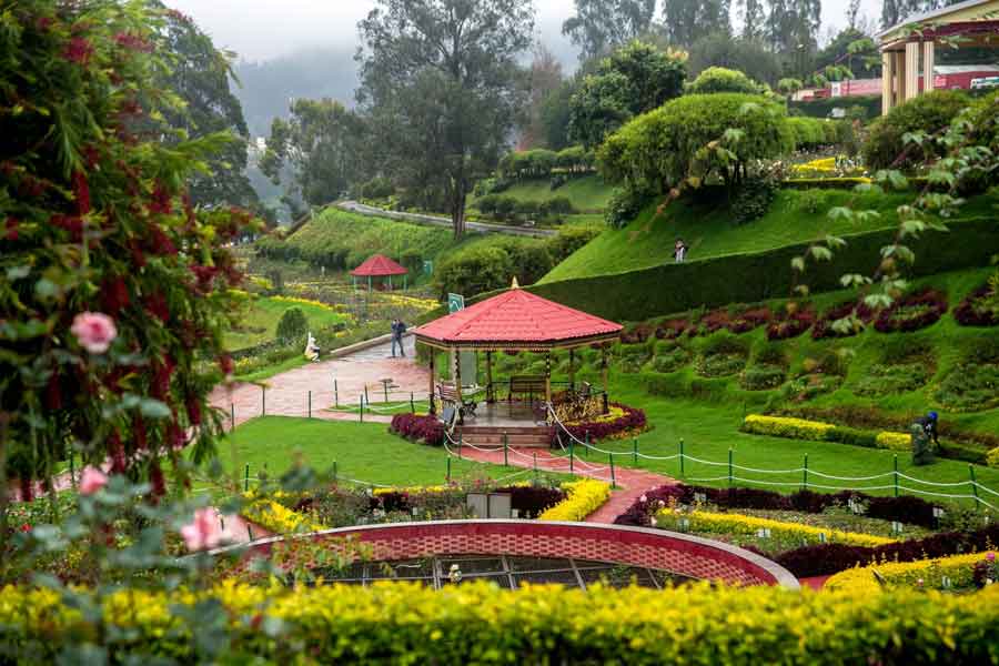 Ooty sightseeing tour package from Chennai, Chennai to Ooty tour package, best Ooty trip from Chennai, Ooty holiday package, guided Ooty tour, affordable Ooty travel package, Chennai to Ooty cab service, Ooty nature tour, Ooty honeymoon package, Ooty hill station tour, Chennai to Ooty weekend trip, Ooty tourist places visit, one day Ooty sightseeing tour