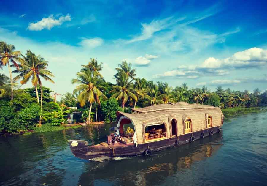 Munnar Honeymoon Tour Package from Chennai, honeymoon package to Munnar, affordable Munnar honeymoon tour, Munnar honeymoon packages Chennai, honeymoon tour package from Chennai to Munnar, best Munnar honeymoon deals, romantic Munnar honeymoon, guided Munnar honeymoon tours, luxury Munnar honeymoon package, budget-friendly Munnar honeymoon Chennai, honeymoon tours for newlyweds to Munnar, Munnar honeymoon tour booking Chennai, top honeymoon destination Munnar, honeymoon packages from Chennai to Munnar, honeymoon package booking Chennai